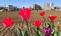 季節の変わり目とメンタルヘルス