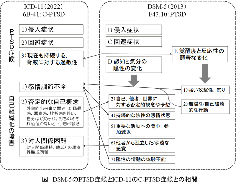 DSM-5のPTSDとICD-11のC-PTSDの相関